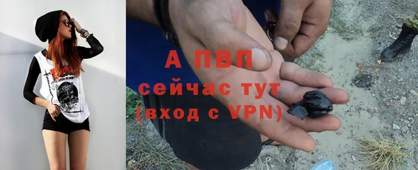 спайс Гусь-Хрустальный