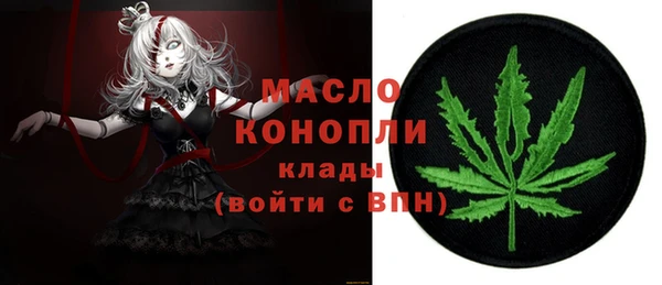 спайс Гусь-Хрустальный