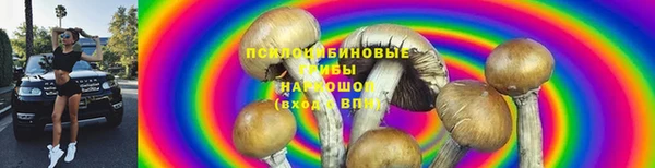 соль ск Гусиноозёрск