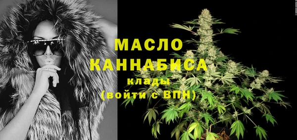 спайс Гусь-Хрустальный
