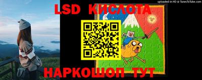 PSILOCYBIN Краснознаменск