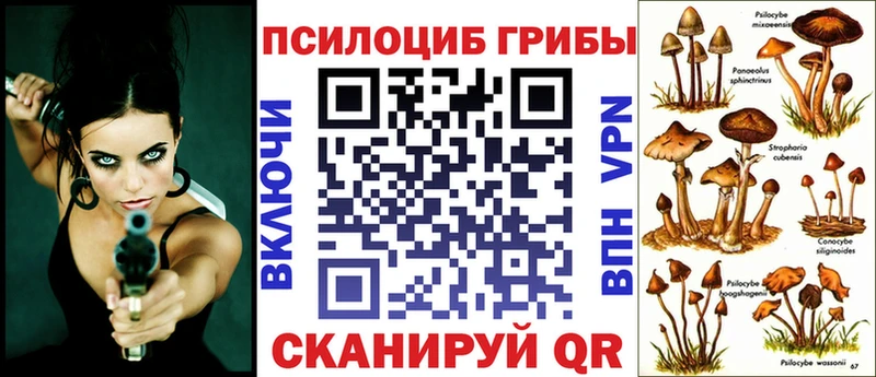Псилоцибиновые грибы MAGIC MUSHROOMS  блэк спрут ССЫЛКА  Донской 