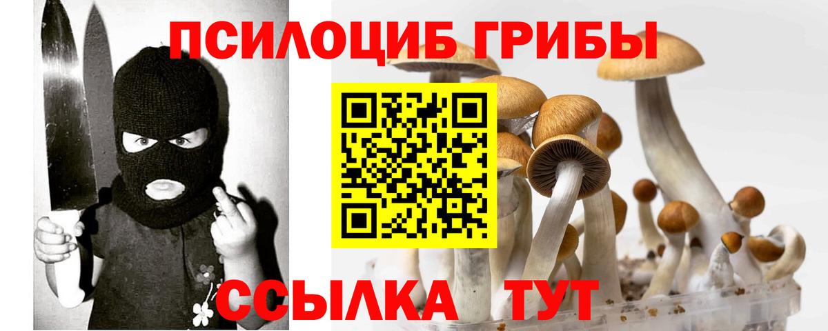 Псилоцибиновые грибы мицелий  Вход с VPN  даркнет сайт  Донской 