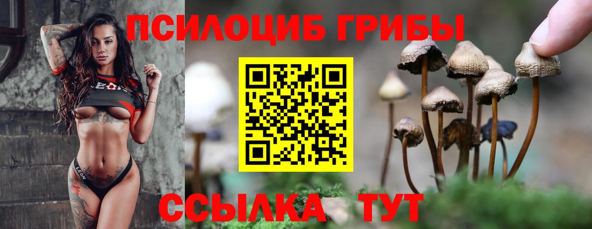 Галлюциногенные грибы мухоморы Донской